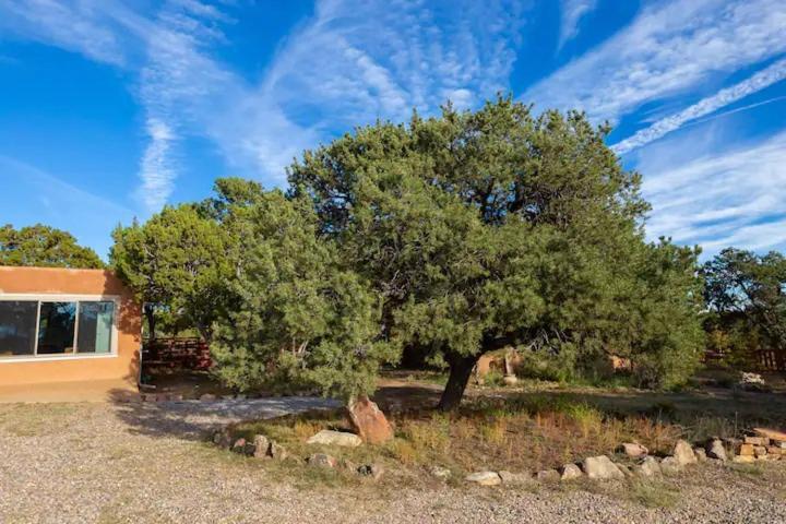 Canada de los Alamos Pet Friendly Pinon Heaven Bed & Breakfast エクステリア 写真
